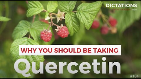 Why You Should Be Taking Quercetin | Tom Rogers, MD