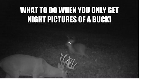 What do when you only get night pics of a Buck!