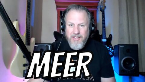 MEER - Beehive - First Listen/Reaction