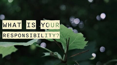 What is your responsibility (as a human being in the world) | amihai.Substack.com | Art of Now