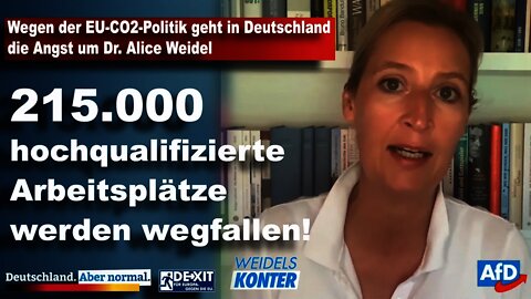 Wegen der EU-CO2-Politik geht in Deutschland die Angst um Dr. Alice Weidel