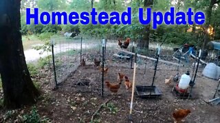 Homestead Update #269