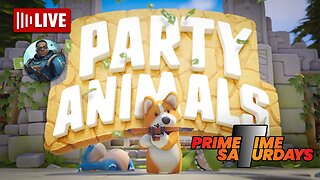 Party Animals: What Shenanigans Can We Get Into? | Prime Time Saturday