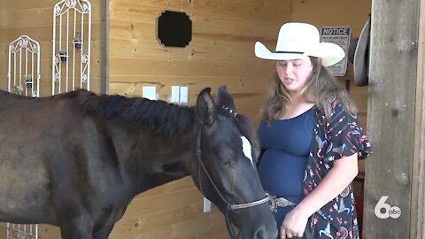 Idaho 4H clubs train wild horses for Bureau of Land Management adoption