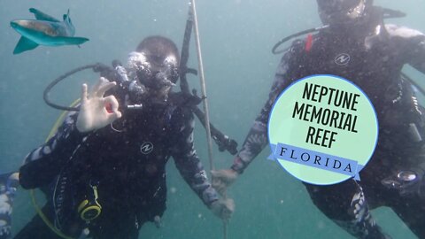 Scuba Diving With Nurse Sharks at Neptune Memorial Reef, Key Biscayne in Miami, Florida