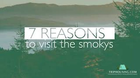 7 REASONS TO VISIT THE SMOKY MOUNTAINS | Clean & Safe Cabins | Easy Drive | Things to Do & more...