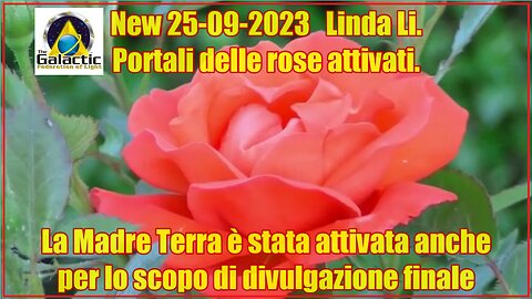 New 25-09-2023 Linda Li. Portali delle rose attivati.