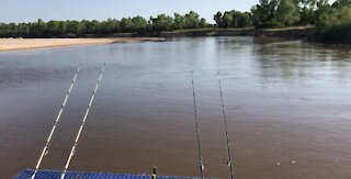 Airboat Fishing - Trip Up the River (Part 1)