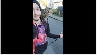 Super unique cat rides skateboard with owner