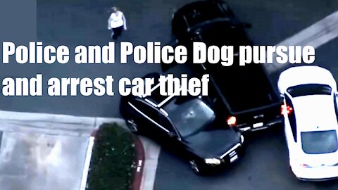 Police and Police Dog pursue and arrest car thief.🚨