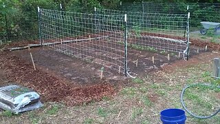 first garden, trellises up