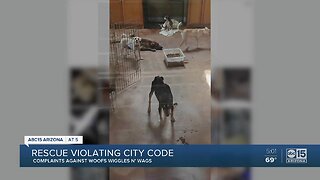 Valley animal rescue violating city code