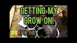 Getting My Grow On! - Ann's Tiny Life