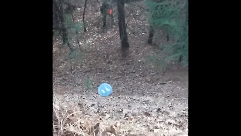 Disc Golf - Bad Roll Outs