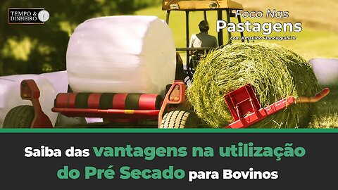 Saiba das vantagens na utilização do Pré Secado para Bovinos, hoje em Foco nas Pastagens