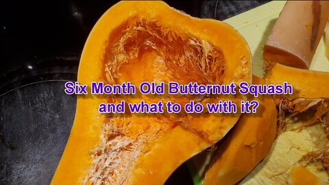 Artist Life Old Butternut Squash will be fermented. Living on a budget