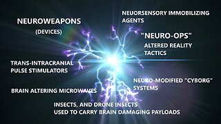 NeuroWeapons To Attack The Brain & Body, Insect Bioweapons To Deliver Payloads