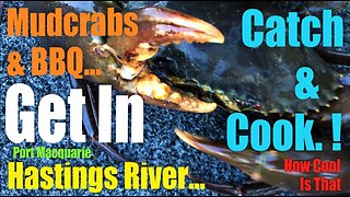 Bbq & Crabbing On The Hastings River Australia