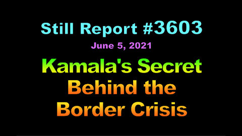 Kamala’s Secret Behind the Border Crisis, 3603