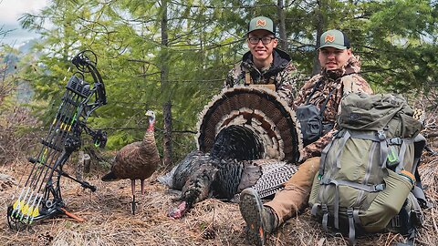 Overnight Backwoods Mountain Gobbler | Washington Spring Turkey 2023