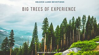 Heaven Land Devotions - Big Trees of Experience