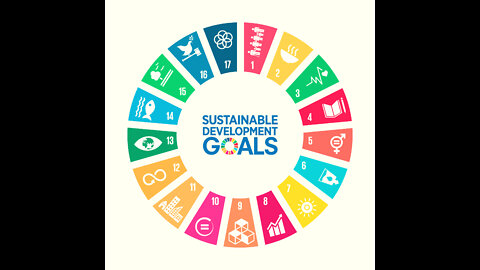 Let's cover one of the 17 UN Sustainability Goals