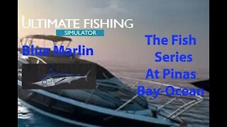 Ultimate Fishing Simulator: The Fish - PinasBay Ocean - Blue Marlin - [00044]