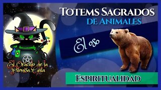 🍀El TOTEM de EL OSO👍El oso como ANIMAL DE PODER🐻 ESPIRITUALIDAD😇