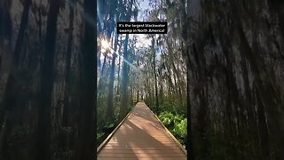 Florida Hiking Tiktok ellismegan