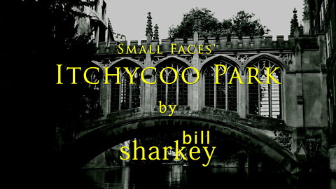 Itchycoo Park - Small Faces (cover-live by Bill Sharkey)