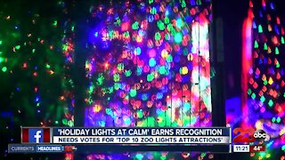 Holiday Lights at CALM earns national recognition