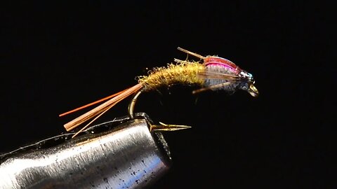 Barr Emerger - Tied by Charlie Craven