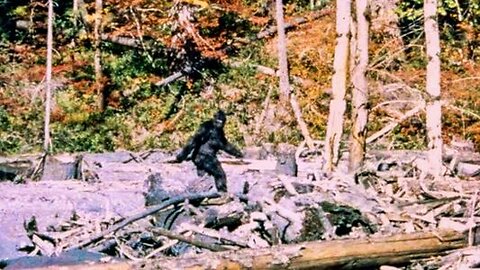 Top 10 Unbelievable Bigfoot Sightings In North America