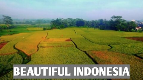 Indonesian Natural Charm