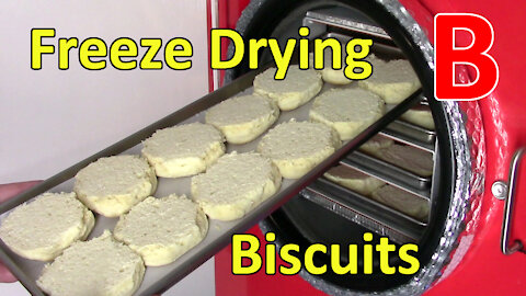 Freeze Drying Biscuits and a Rehydration Test