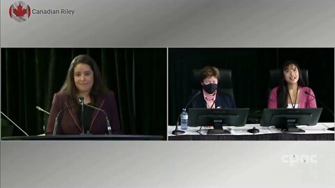 Zexi Li and Victoria De La Ronde Witness Summary Day 2 of Emergencies Act Public Inquiry