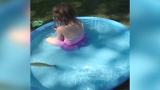 A Tot Girl Gets Freak Out When Her Dad Puts A Fish In Her Backyard Pool
