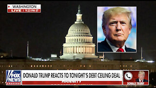 Trump rips McConnell over debt ceiling extension: 'He made a big mistake'