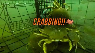 How To Set & Pull Crab Pots 🦀