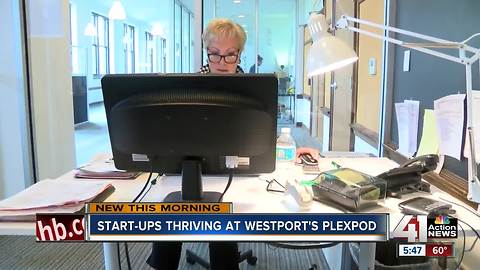 Startups thriving at Westport’s Plexpod