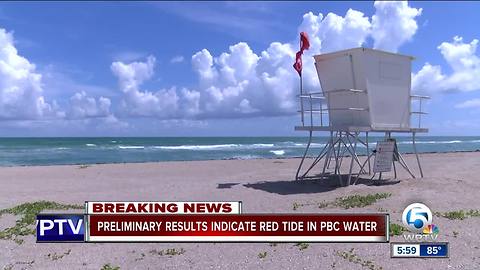 Preliminary results indicate red tide in PBC water