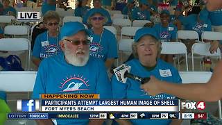 National Sea shell Day on Fort Myers Beach