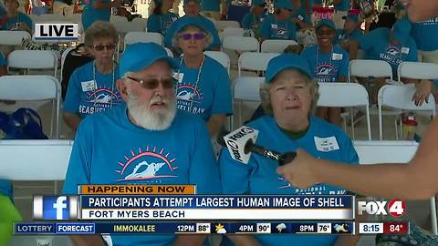 National Sea shell Day on Fort Myers Beach