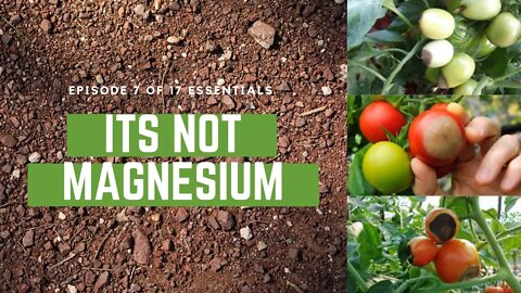 Why Magnesium Is Not Deficient In North American Soils. It’s Your pH. Plantmas ep. 7