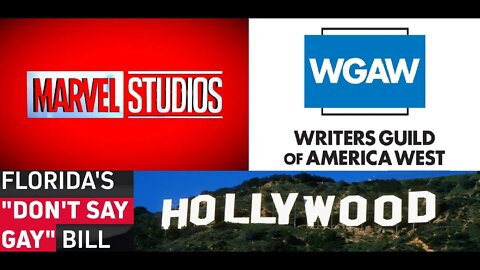 They're Telling You They're Pro-Grooming, Believe Them ft. WGA West & Marvel Studios vs. Florida