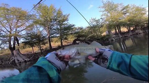 Switch Casting for Bass in the Texas Hill Country with Moonshine Drifter Switch Rod #viral #fishing