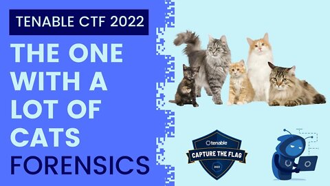 Tenable CTF 2022: The One with a Lot of Cats