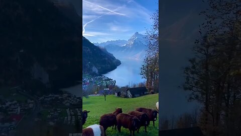 Dream to all Switzerland 🇨🇭 | #switzerland #tourism #beautiful #storytrending