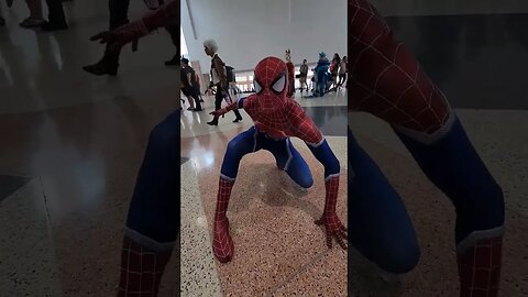 Spider Man Cosplay Metrocon