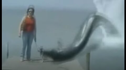 5 SEA MONSTER CAUGHT ON CAMERA